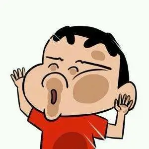 留言用户头像占位图：一位慢综艺观众的匿名标识